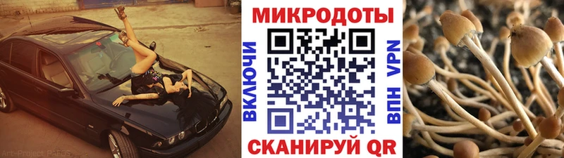 Псилоцибиновые грибы ЛСД  хочу   Куйбышев 